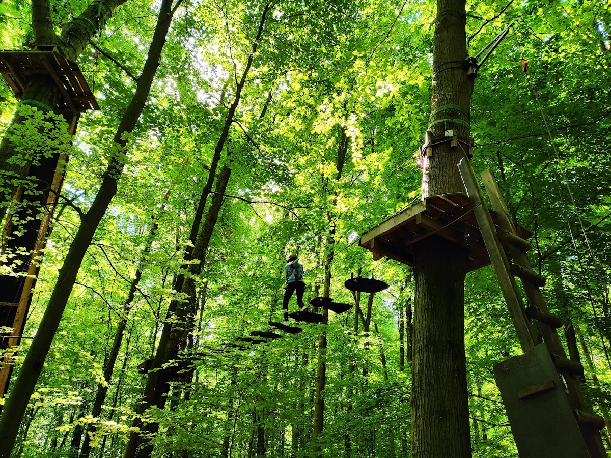 Schwindelfrei - Der Kletterwald - Photo 2