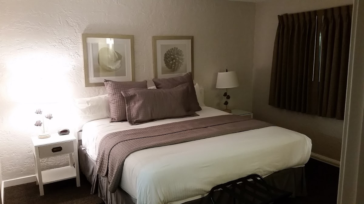 Sea Crest Surf & Racquet Club - Photo 2