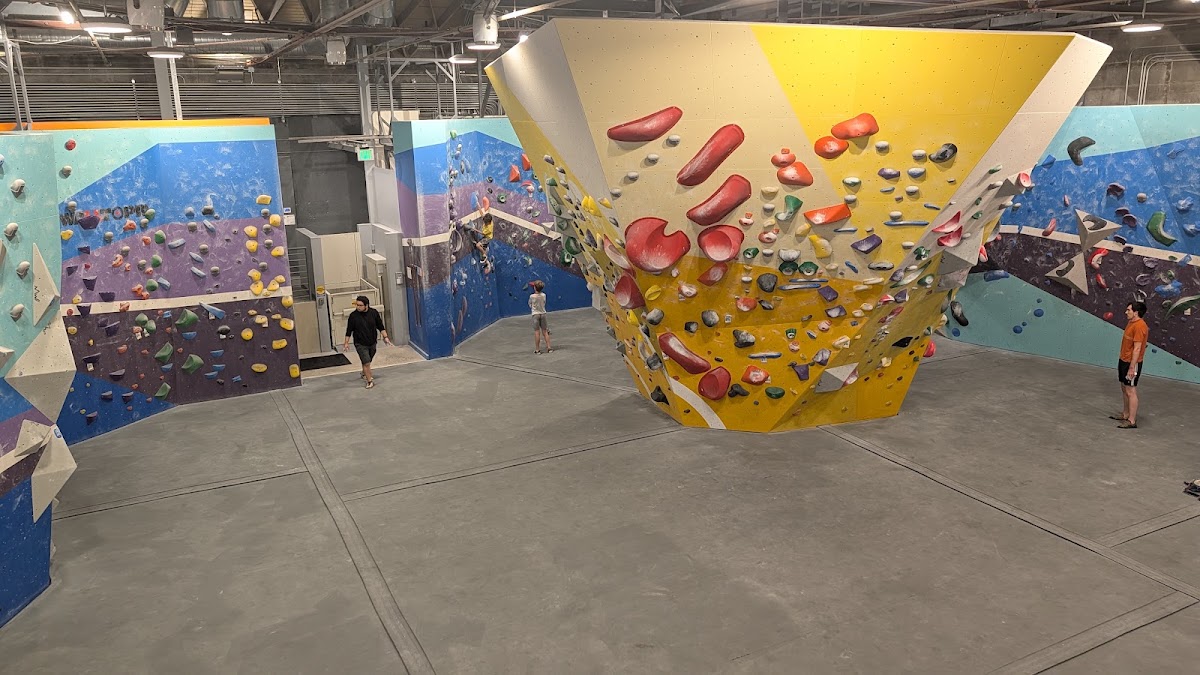 Sender One Climbing - Westwood - Photo 2