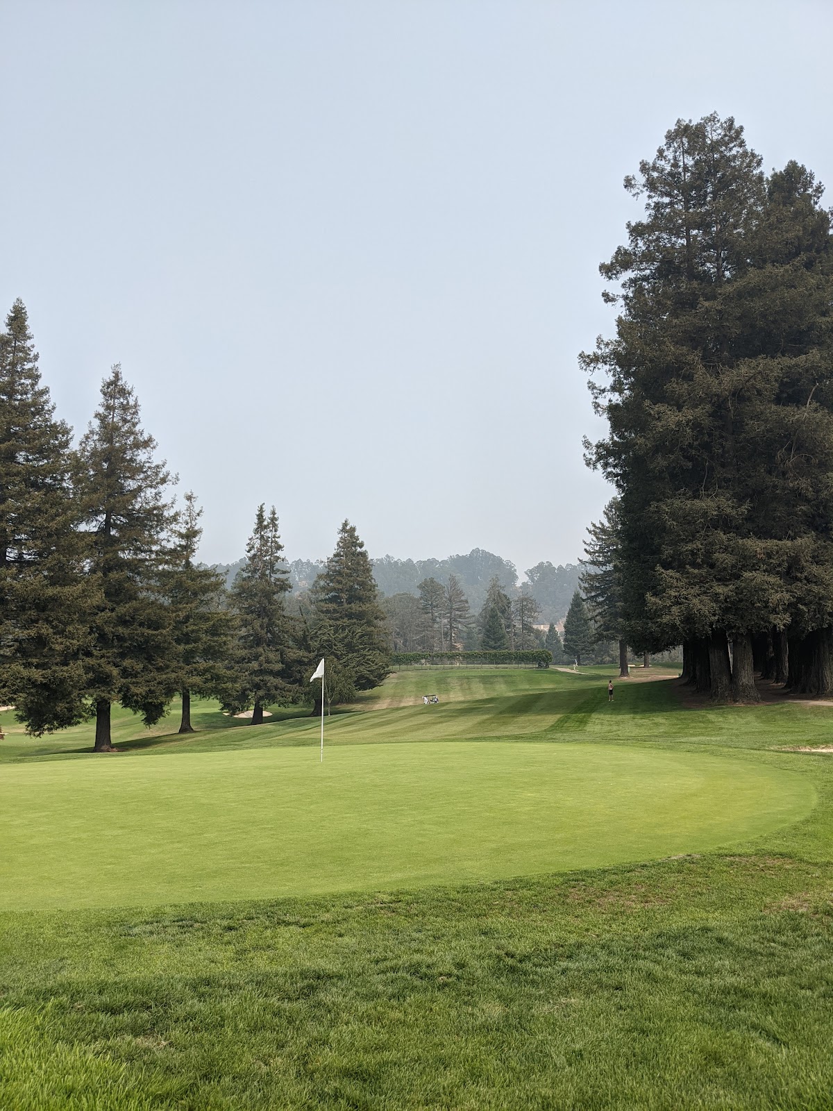 Sequoyah Country Club - Photo 2