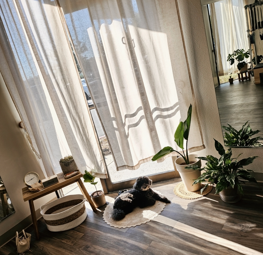 Serendipity Pilates - Photo 2