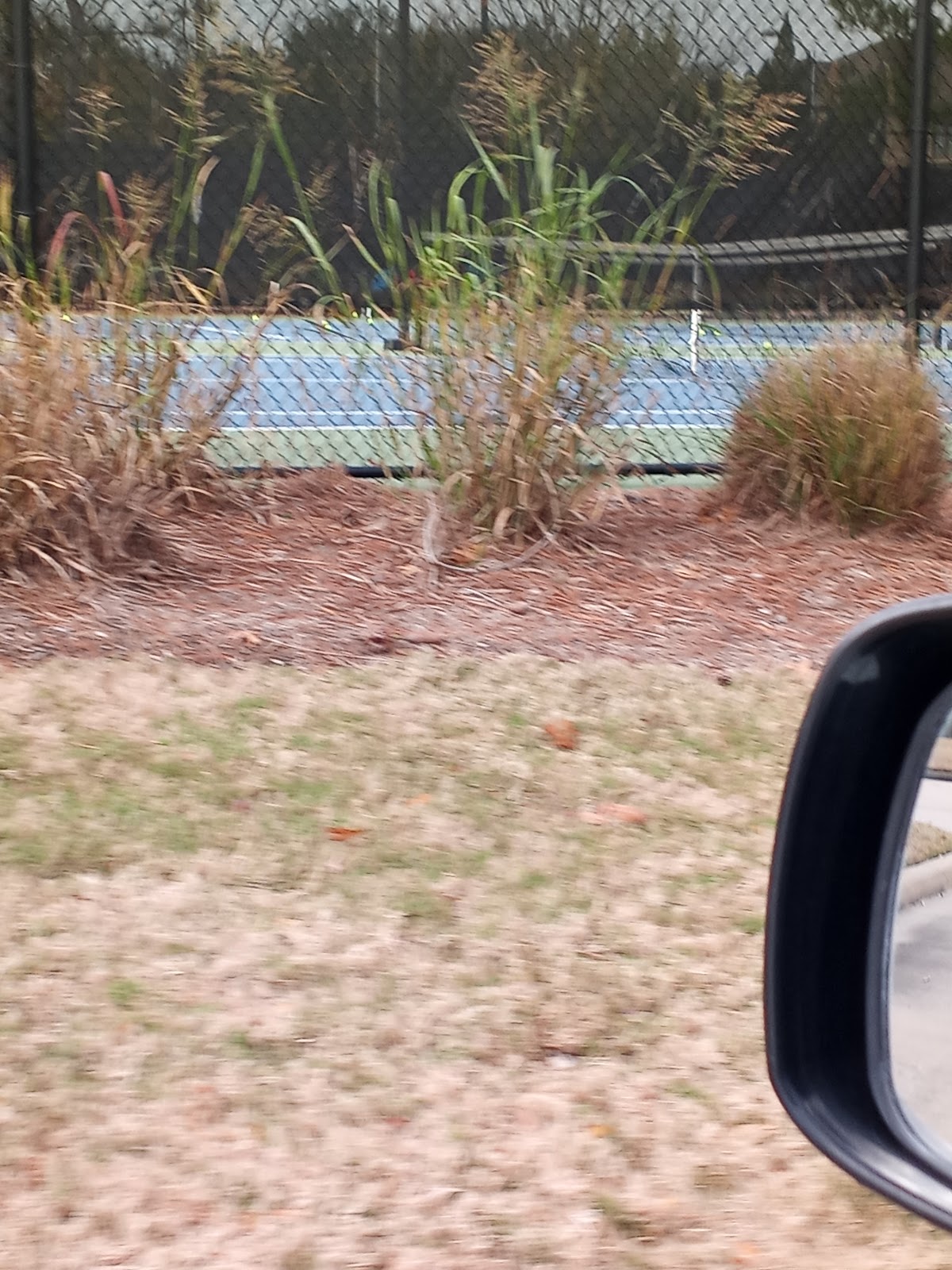 Seven Meadows Tennis Courts - Photo 3