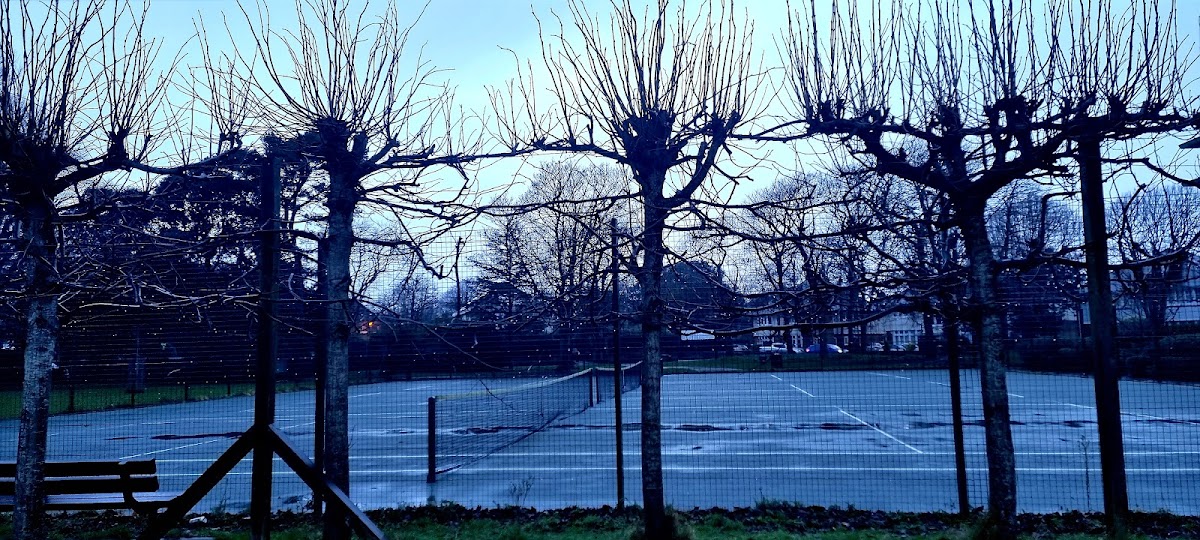 Shelley Park Tennis Courts - Tennis in the Park Bournemouth - Photo 2