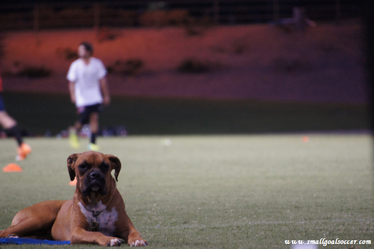 Small Goal Soccer - Photo 2