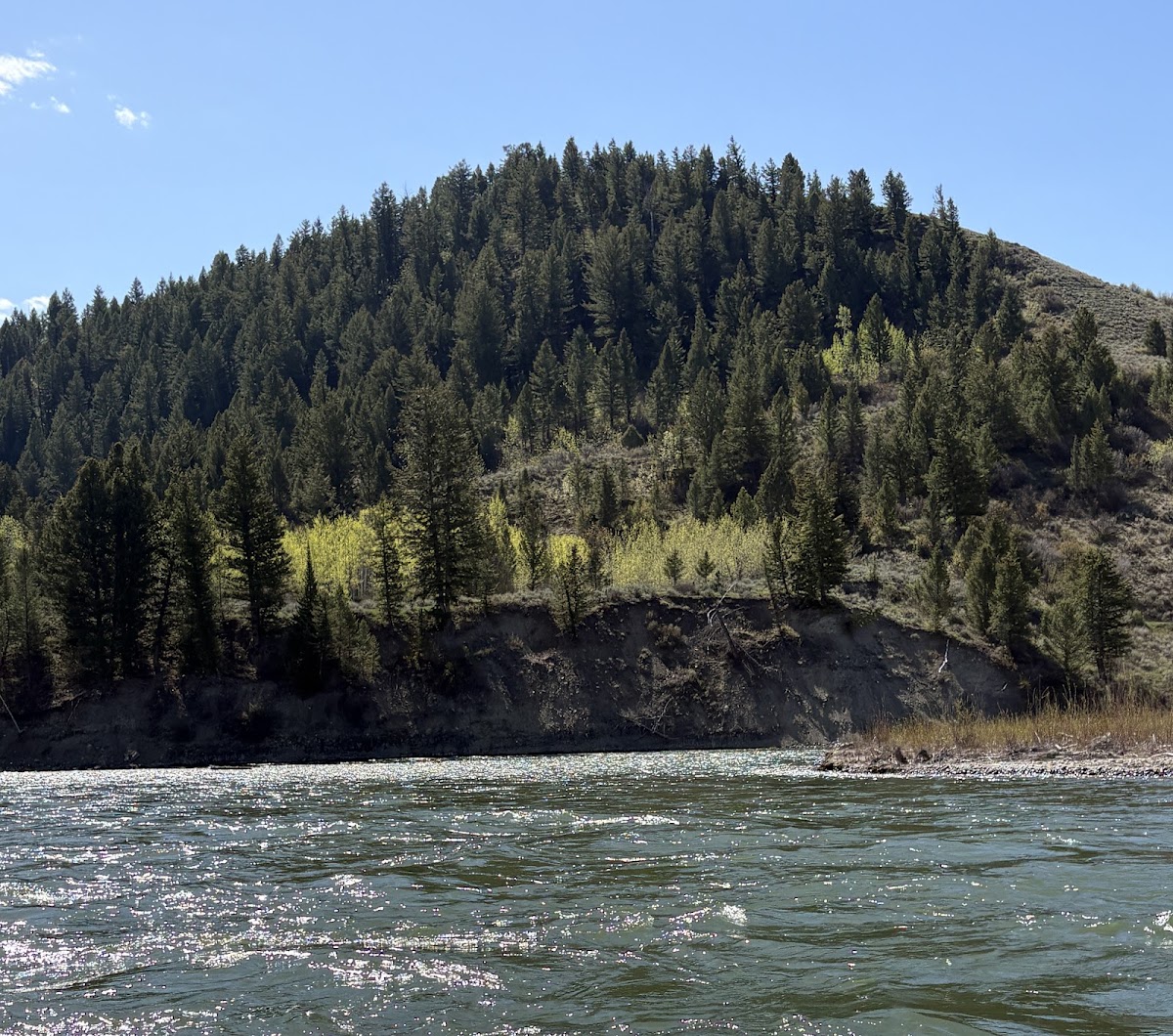 Snake River Park Scenic Float Trips - Photo 3