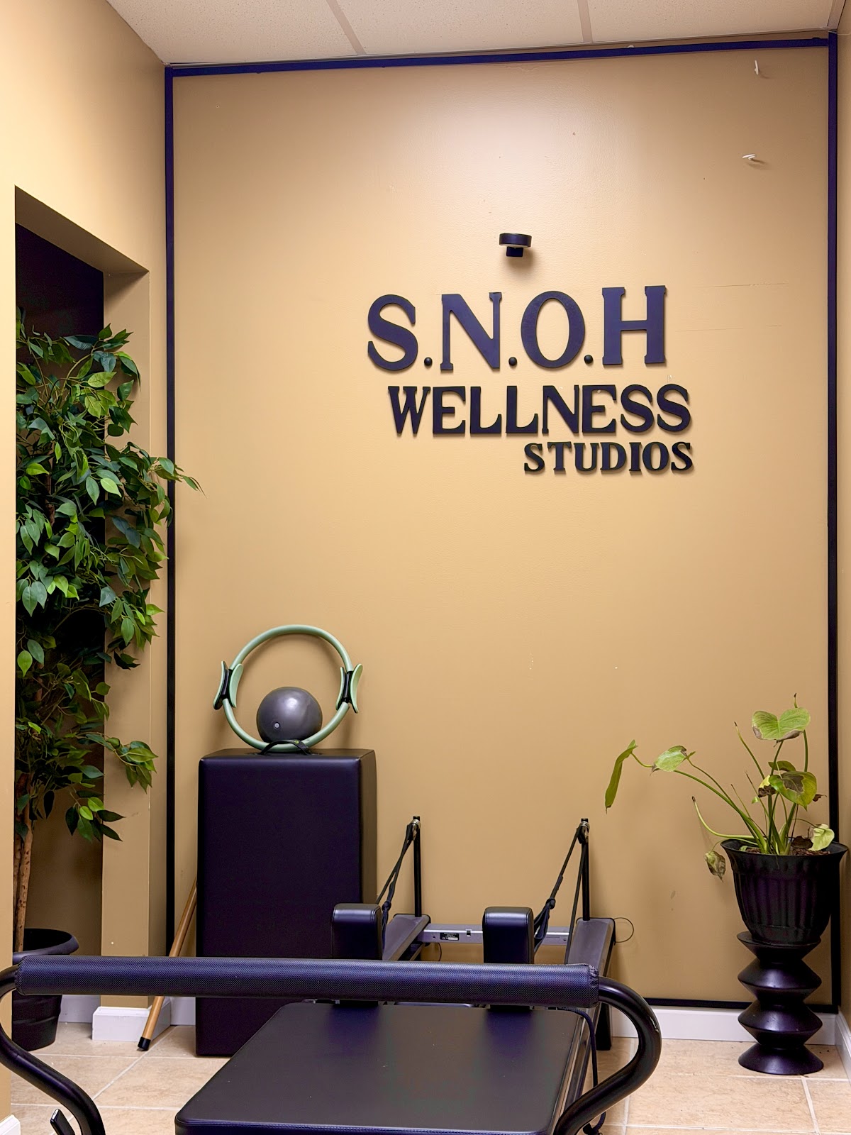 Snoh Wellness Studios LLC - Photo 1