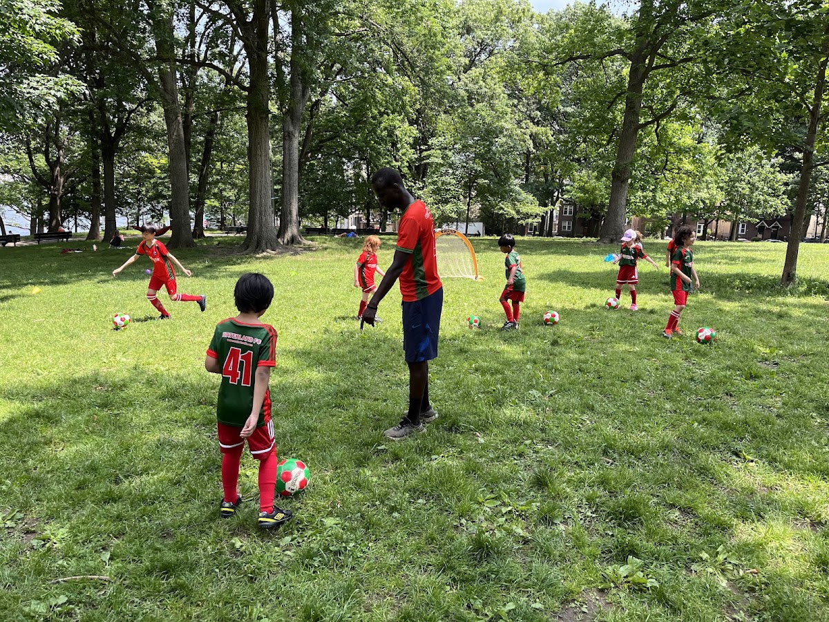 Soccer Cric Astoria Park