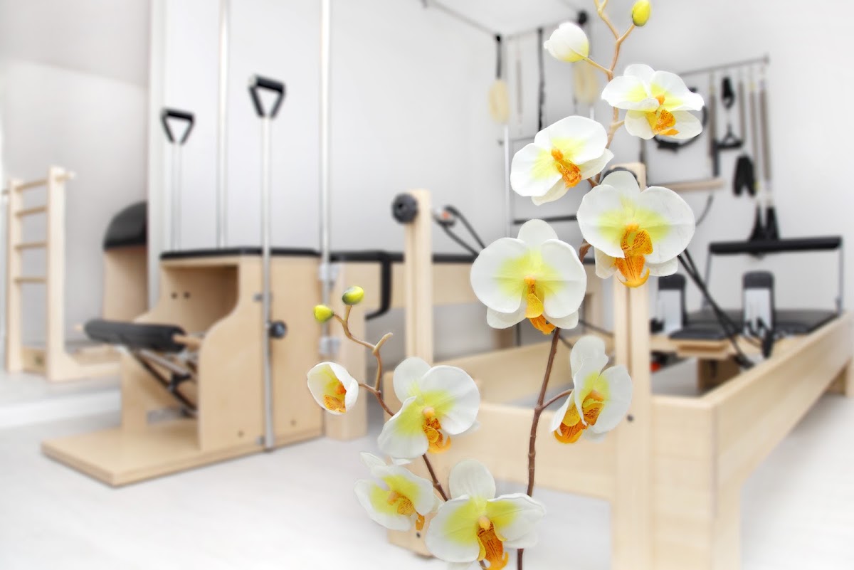 Sonja Rose Pilates Matten- und Studiogeräte-Training - Photo 2