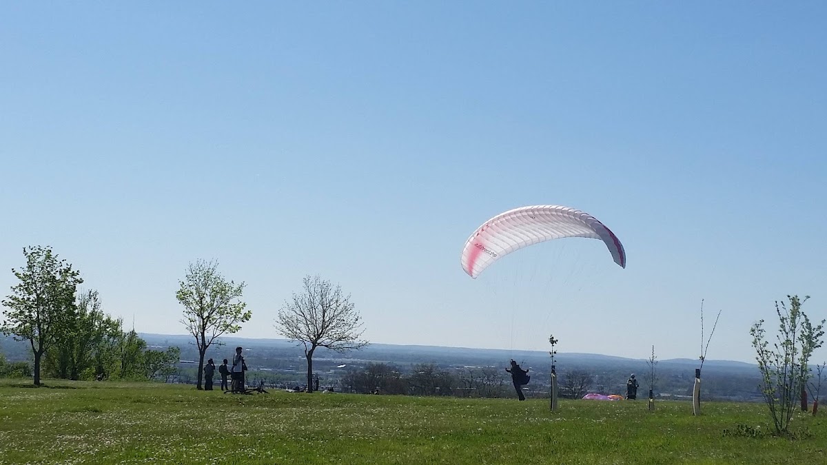 Sordelo terrain Herbe - Photo 2