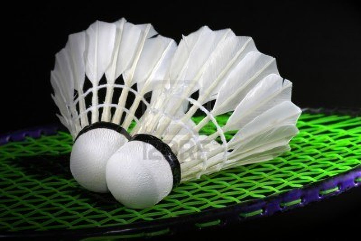 SOS Badminton Club - Photo 3