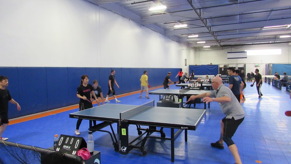 South Bay Table Tennis - Photo 1