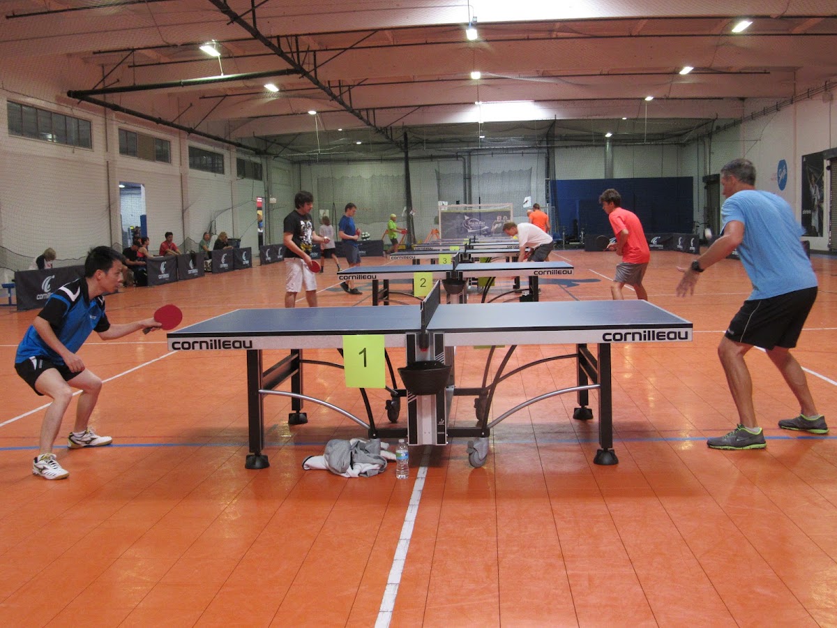 South Bay Table Tennis - Photo 2