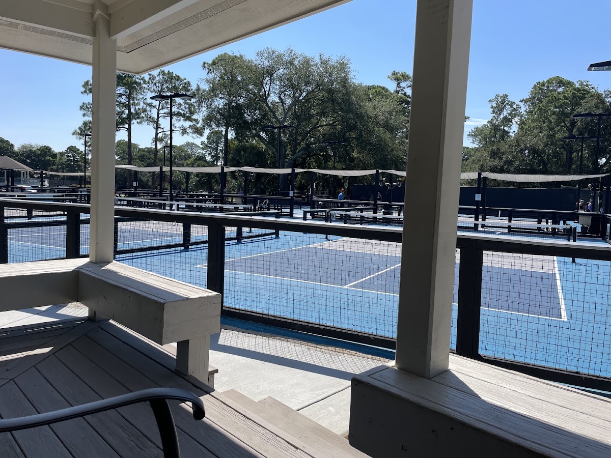 South Beach Pickleball Club - Courts - Photo 3