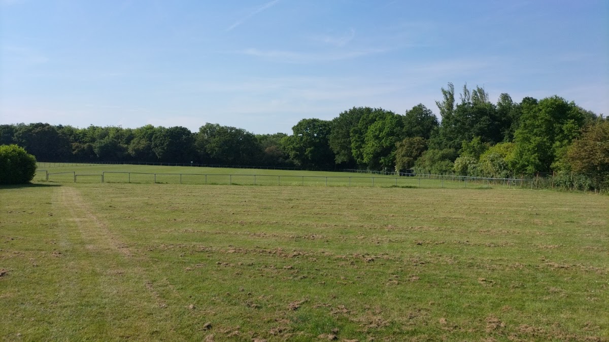 South Hanningfield Tennis Club - Photo 3