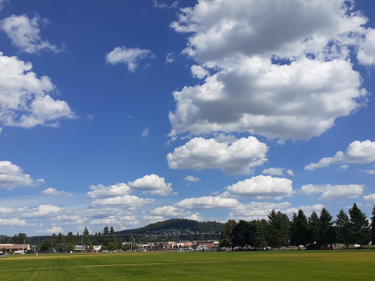 South Hill Sports Complex - Photo 3