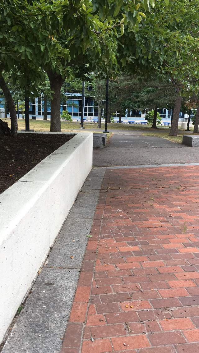 Southwest Corridor Park- Tennis Courts - Photo 3