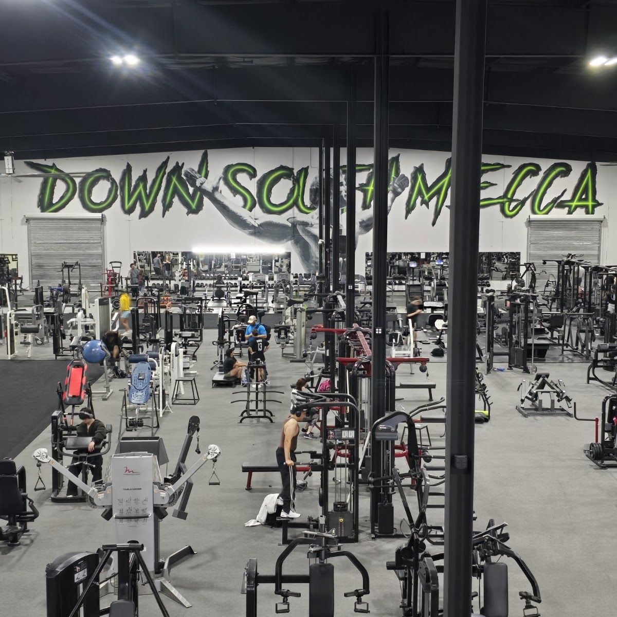 Species Gym - Photo 2