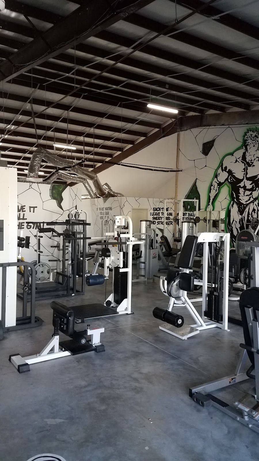 Species Gym - Photo 3