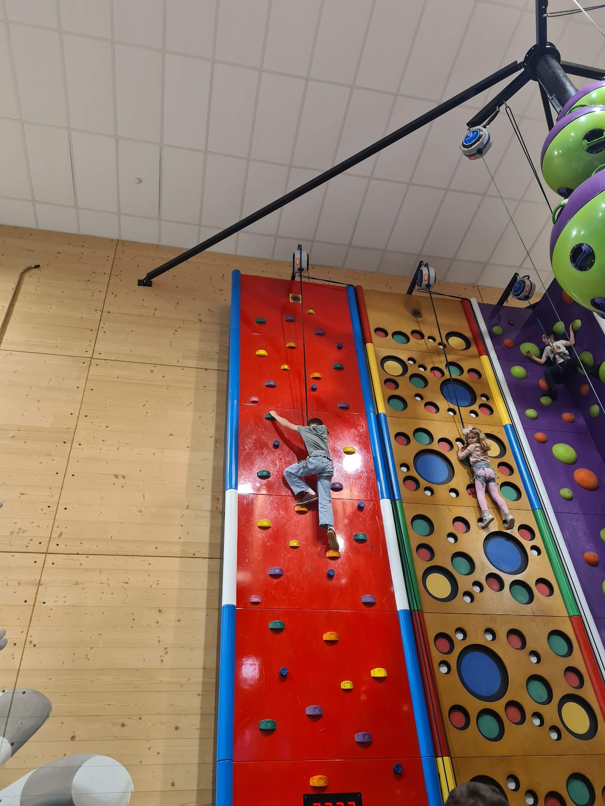 Sporthal Sportpunt - Photo 1