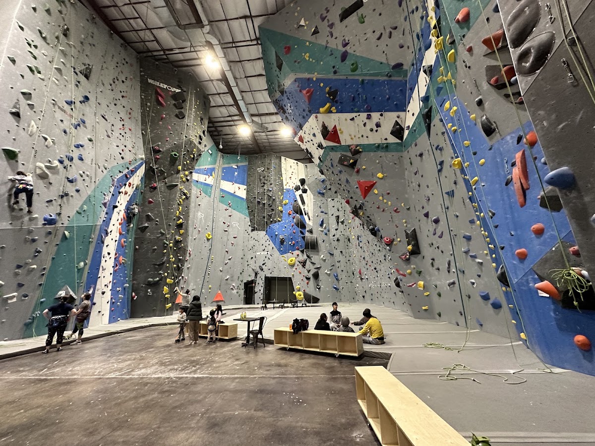 Sportrock Climbing Centers - Alexandria - Photo 2