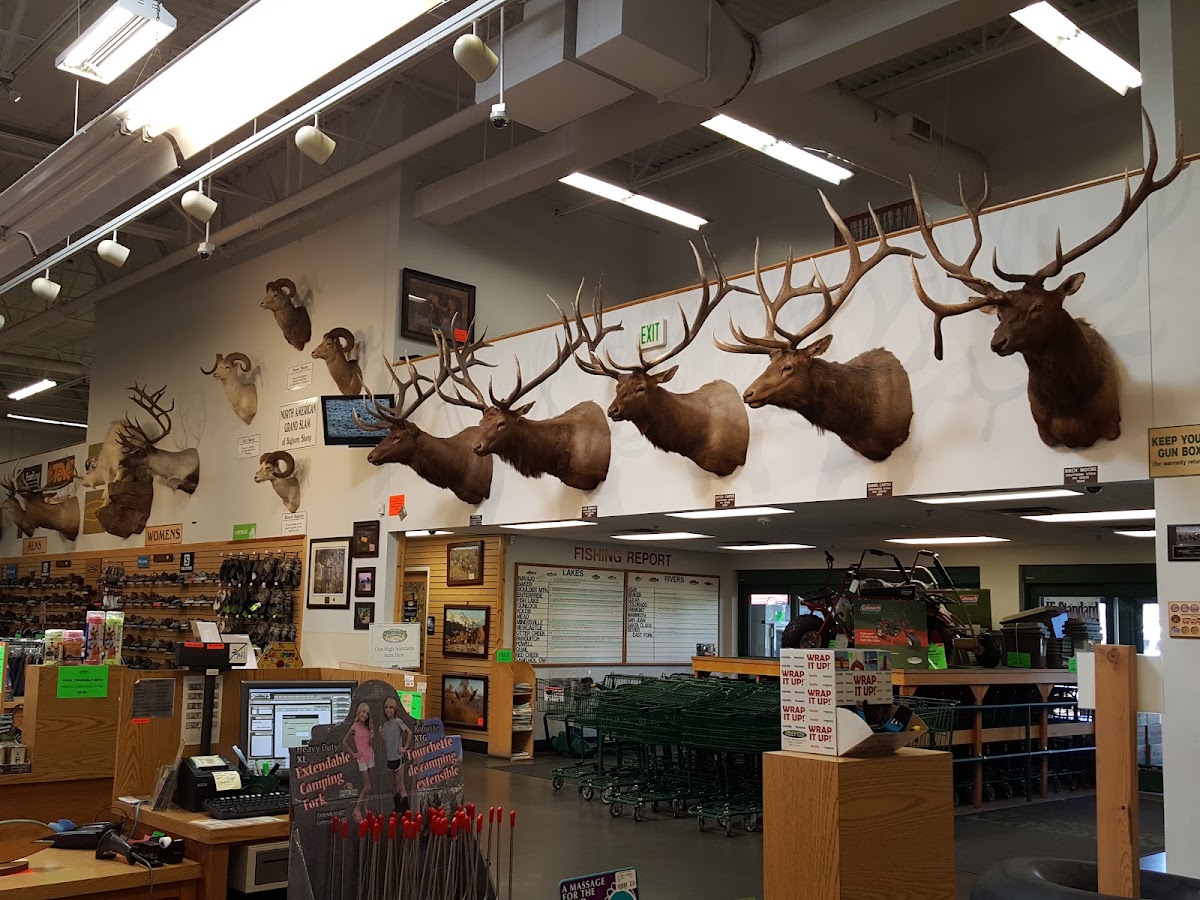 Sportsman's Warehouse - Photo 3