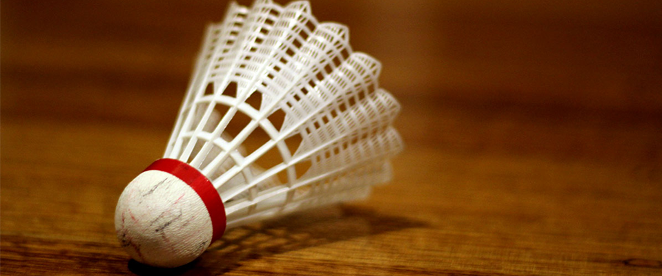 Sportvereniging Lunetten - badminton - damesconditietraining - volleybal