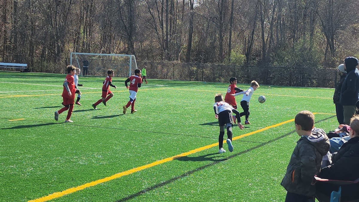 Spring Hill Rec Center Turf Field #2 - Photo 3