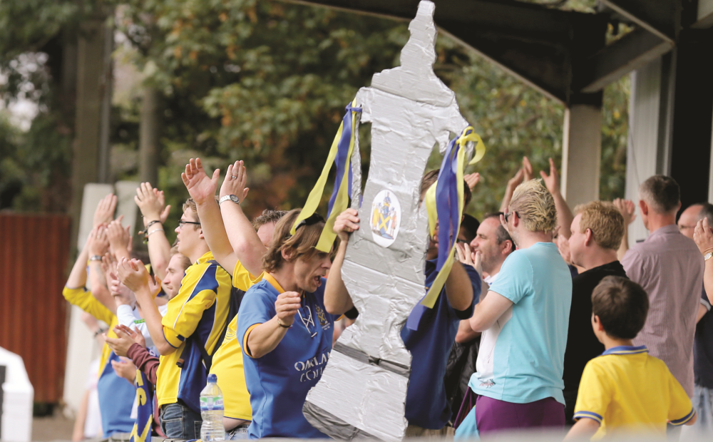 St Albans City Football Club - Photo 3
