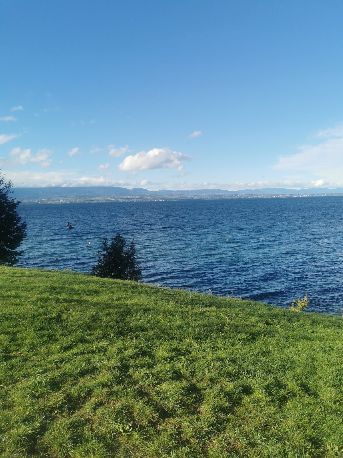ST DISDILLE THONON TC