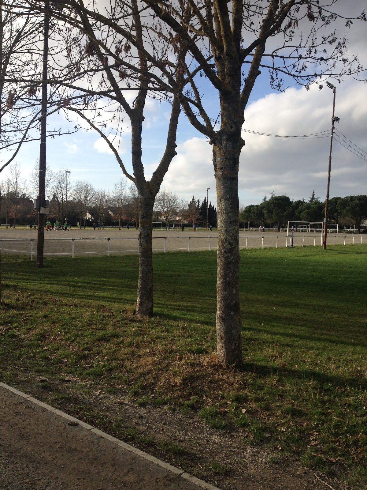 Stade de la Base Verte des Argoulets - Photo 1