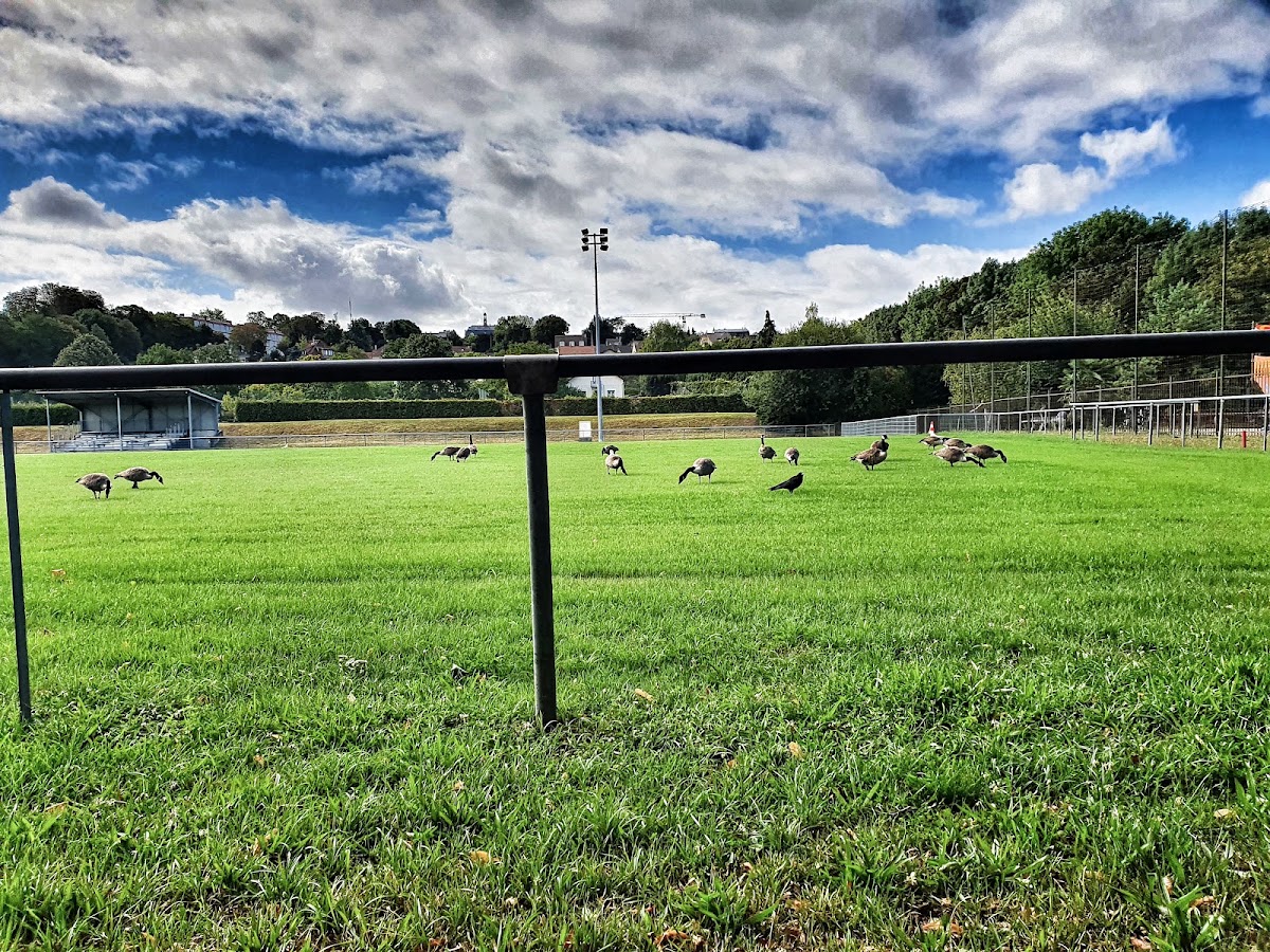 Stade des Bords de Marne - Photo 2