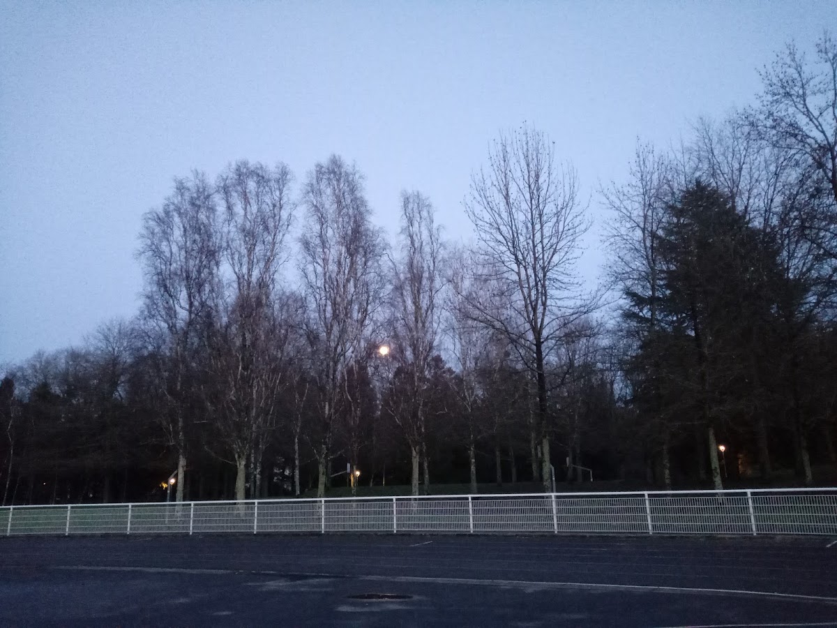 Stade des Dervallières - Photo 3