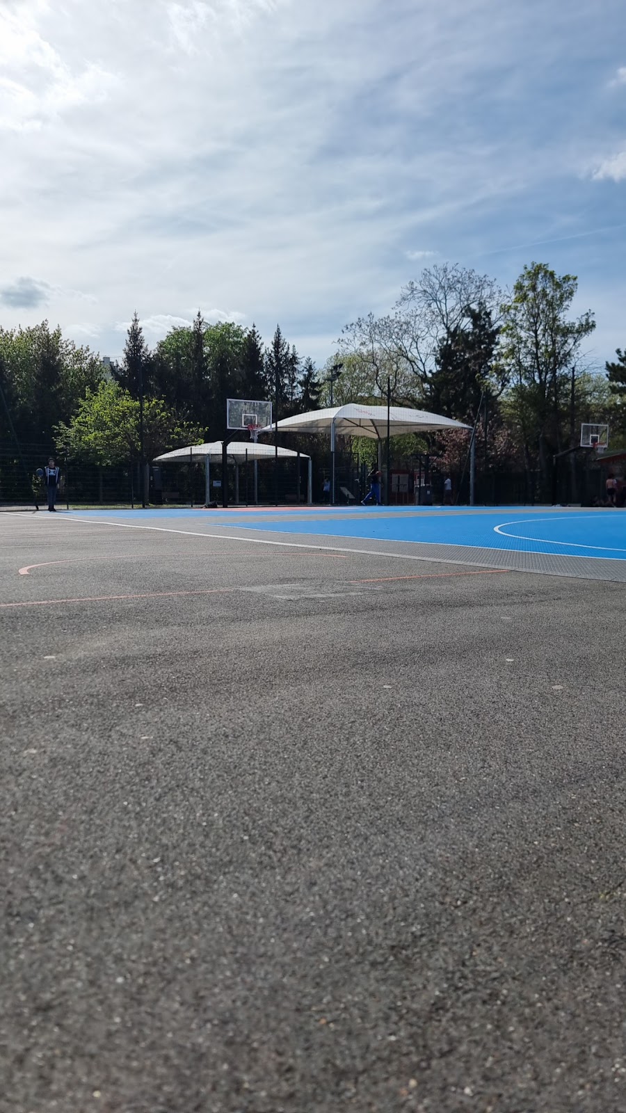 Stade Georges Racine - Photo 2