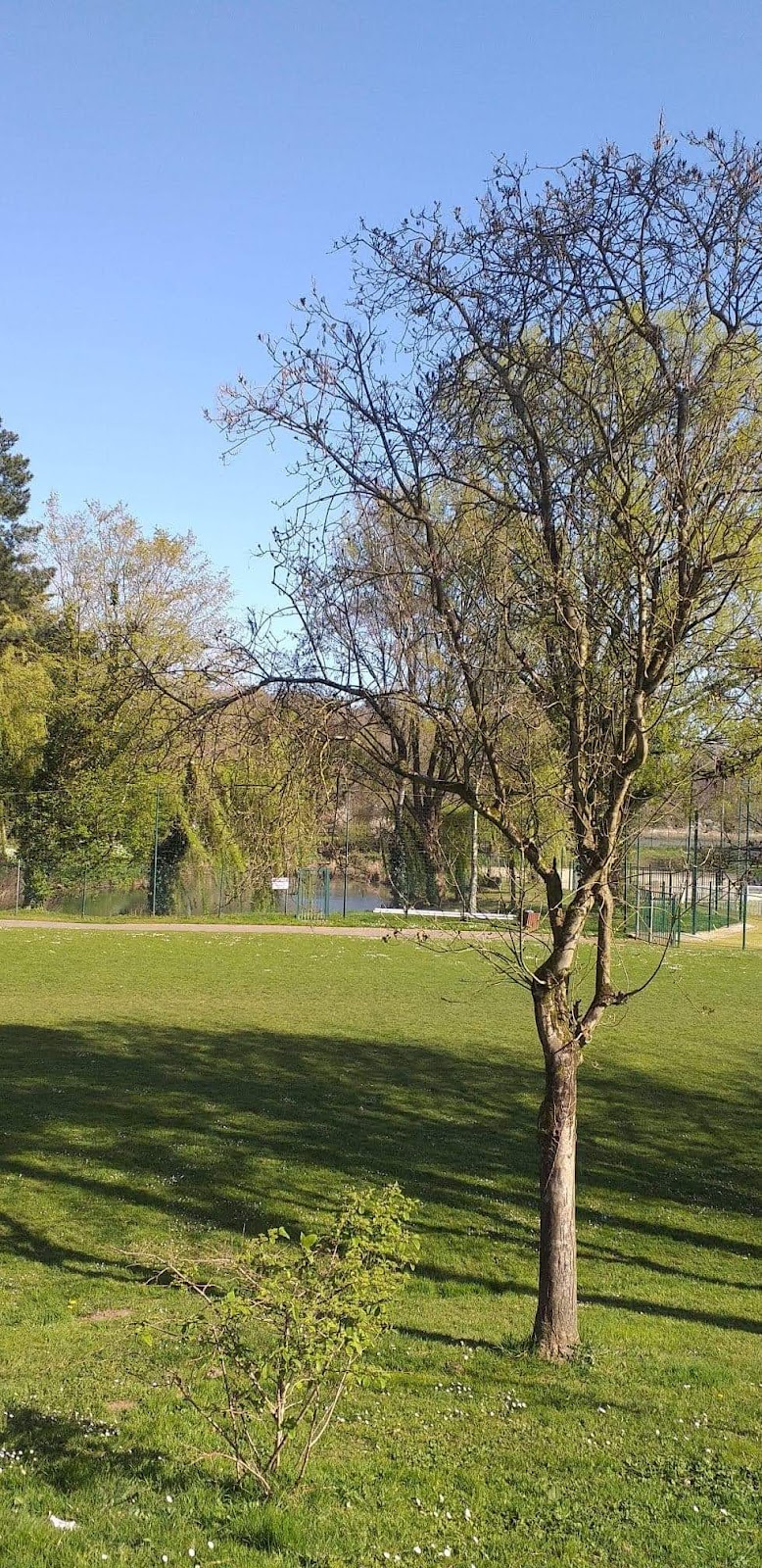 Stade Nicolas Kervahut Quimper - Photo 2