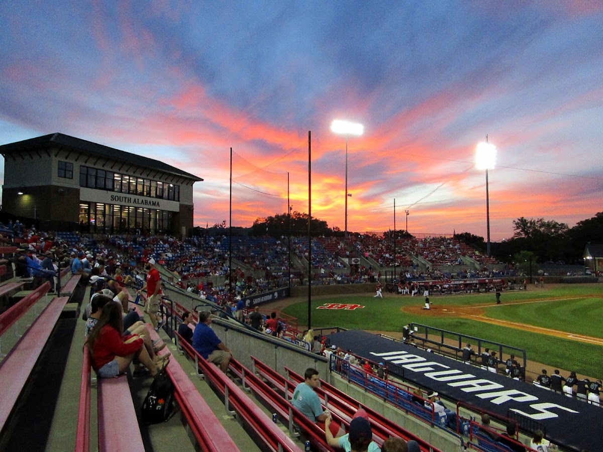 Stanky Field - Photo 2