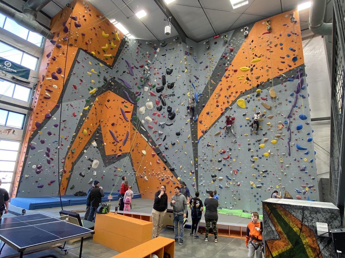 Steepworld Climbing & Fitness - Photo 3