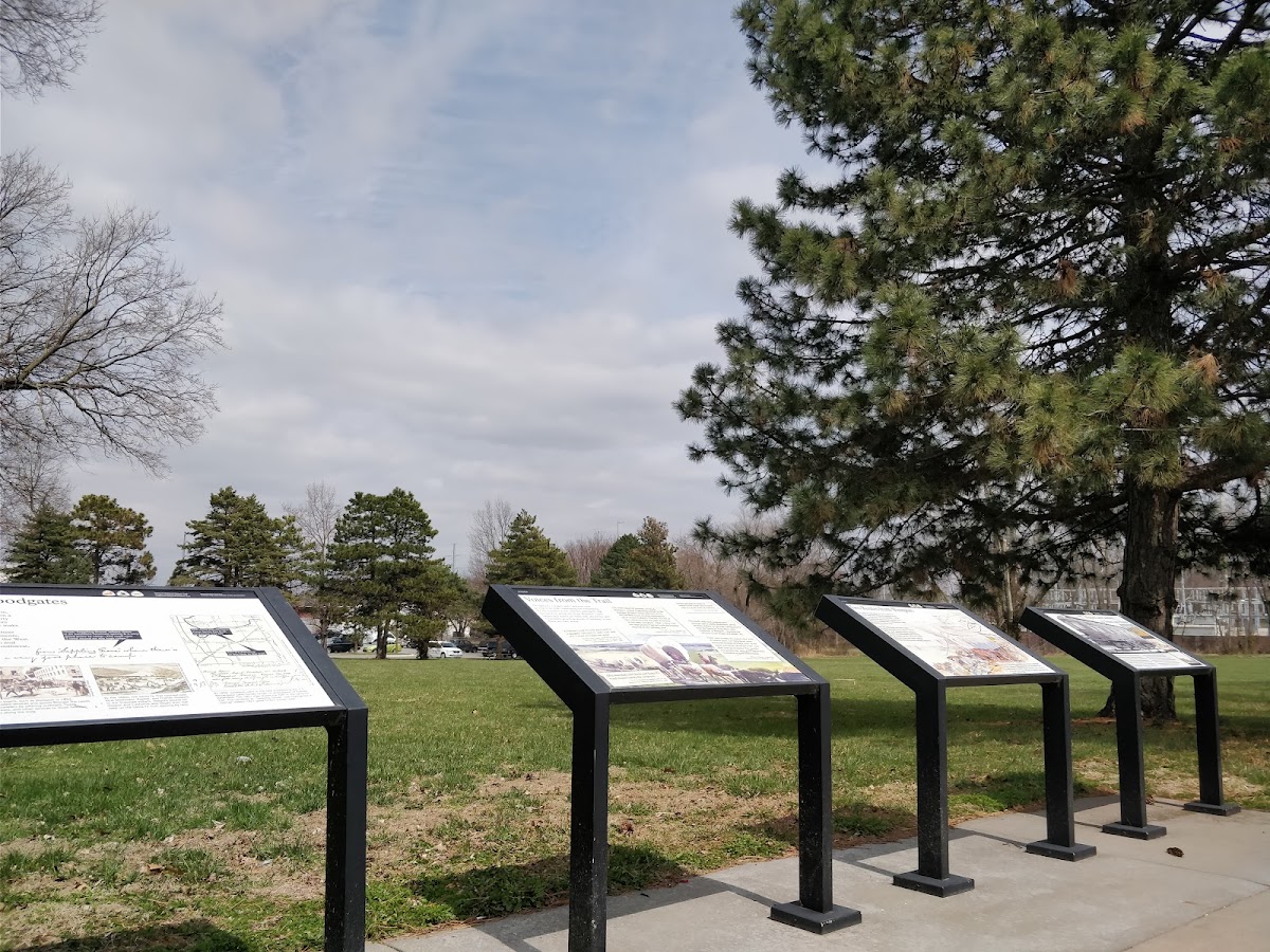 Strang Park - Photo 2