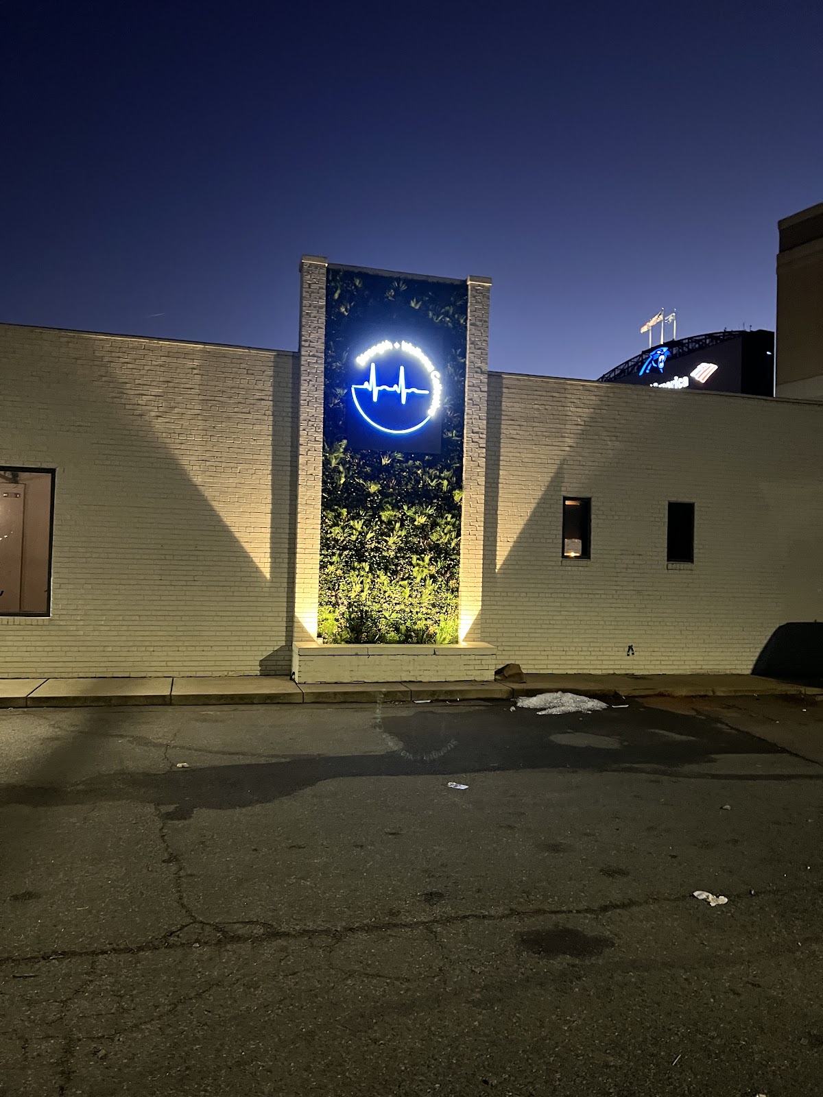 Strength and Wellness Collective of Charlotte - Photo 2
