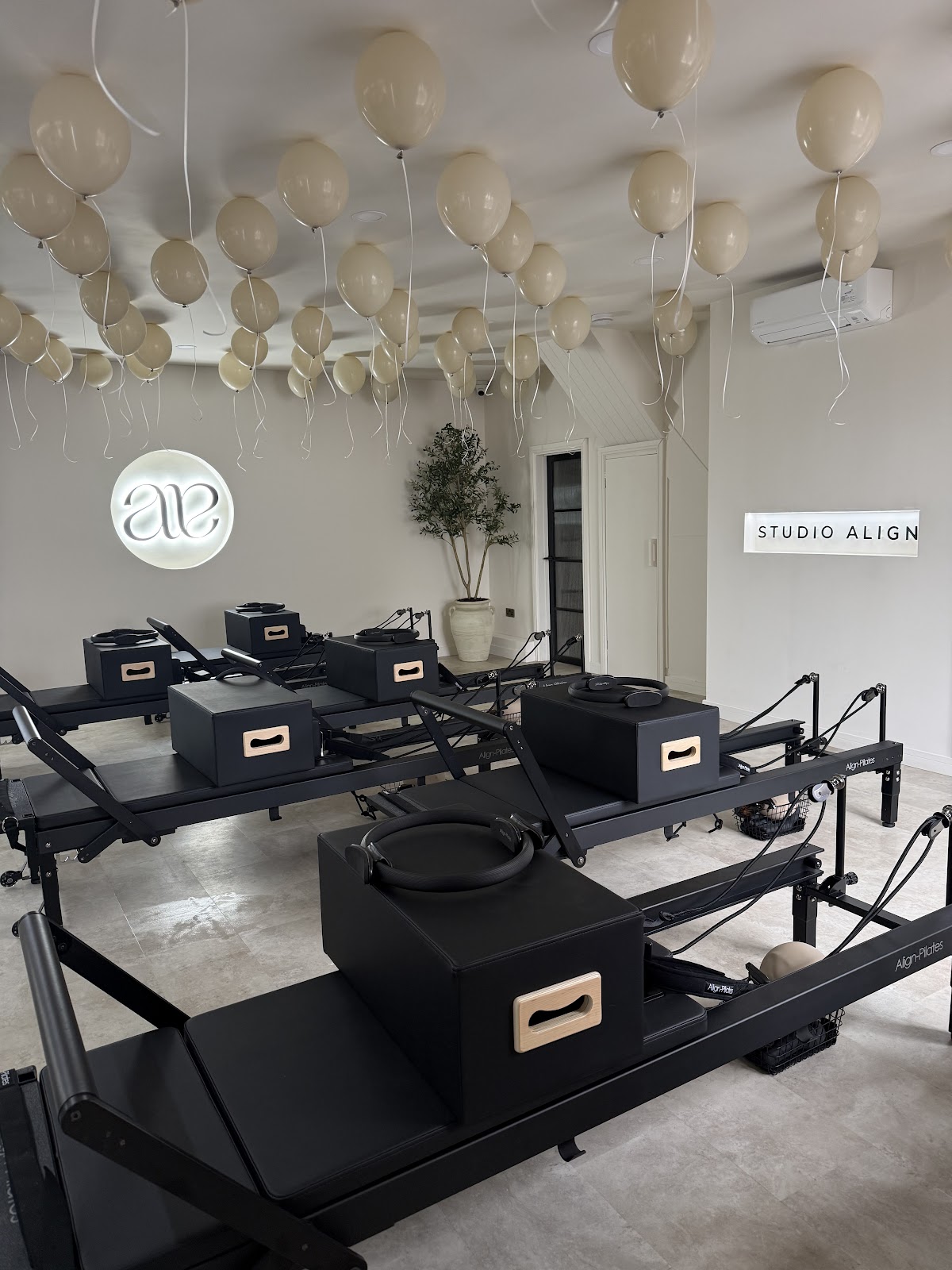 Studio Align