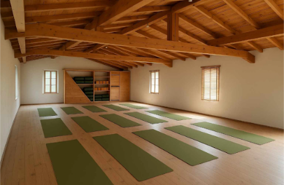 Studio Yoga Nîmes - Yoga Iyengar au cœur de la garrigue - Photo principale