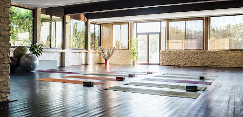 Studio Zen Yoga - Photo principale