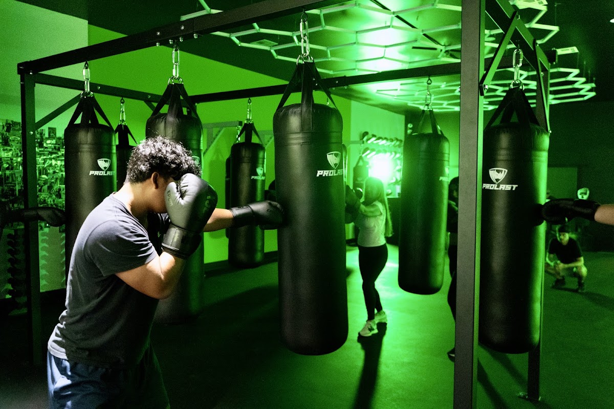Sucker Punch Boxing