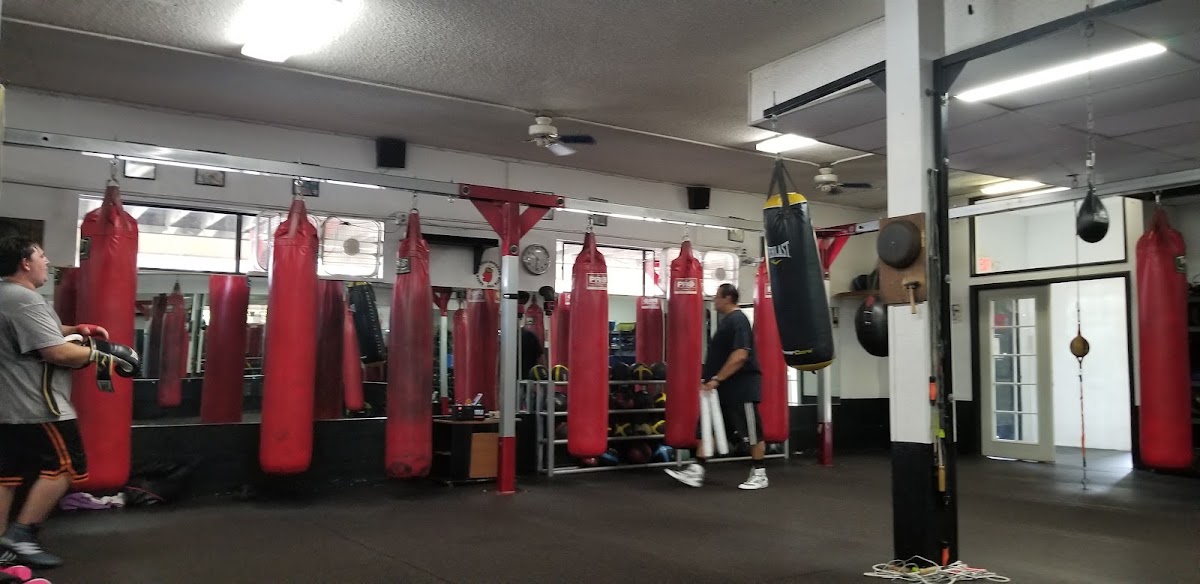 Sugar Boxing - Photo 2