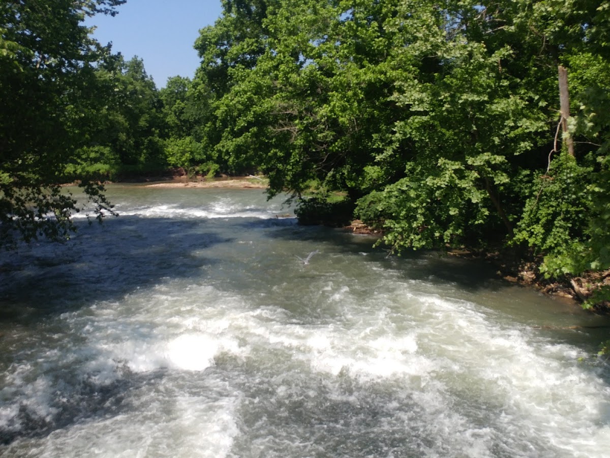 Sugar Creek Soccer Park - Photo 2