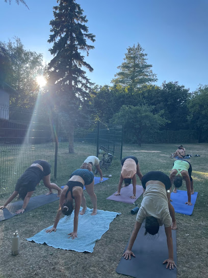 Sun YogAlp - Photo principale