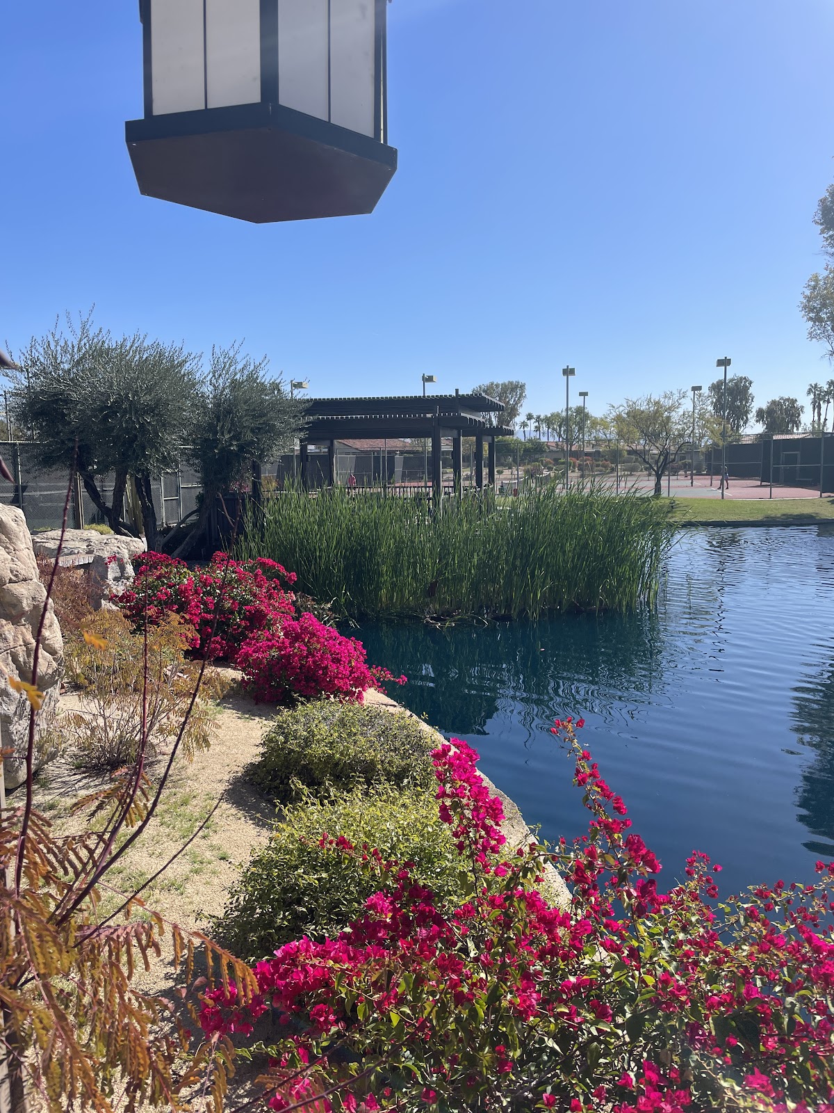 Sunrise Racquet Club
