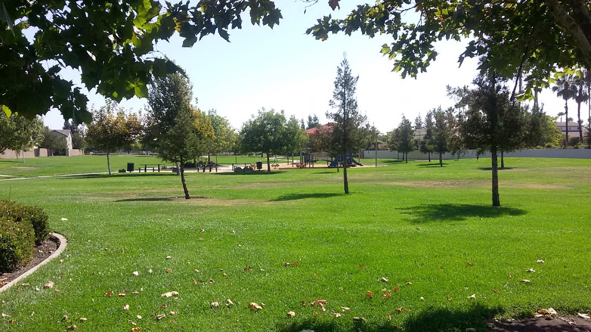 Sycamore Park - Photo 1
