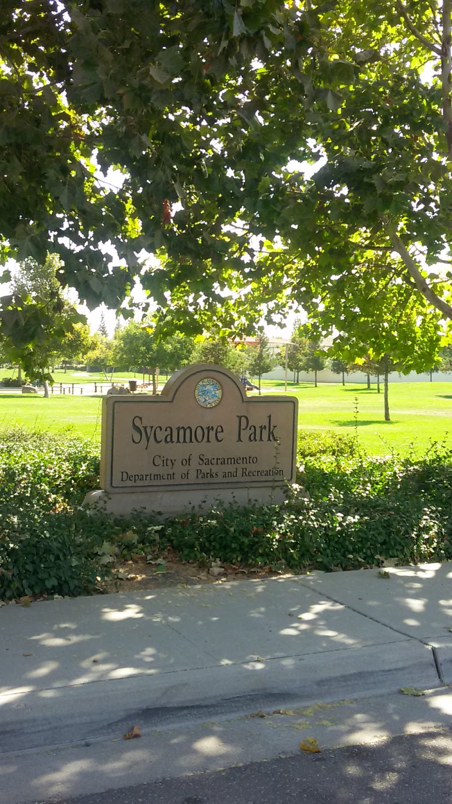 Sycamore Park - Photo 3