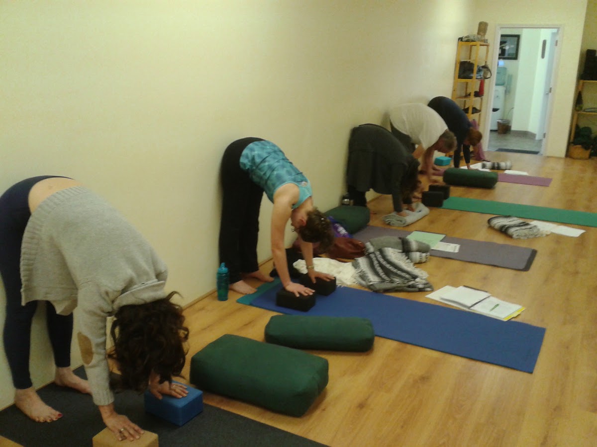 Synergy Yoga & Pilates - Photo 2