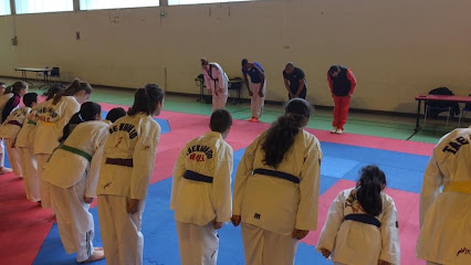 Taekwondo Elite 76 - Photo principale